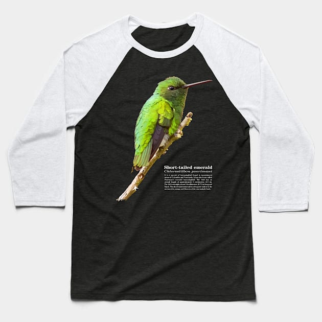 Short-tailed emerald hummingbird against the blue sky Baseball T-Shirt by Ornamentum